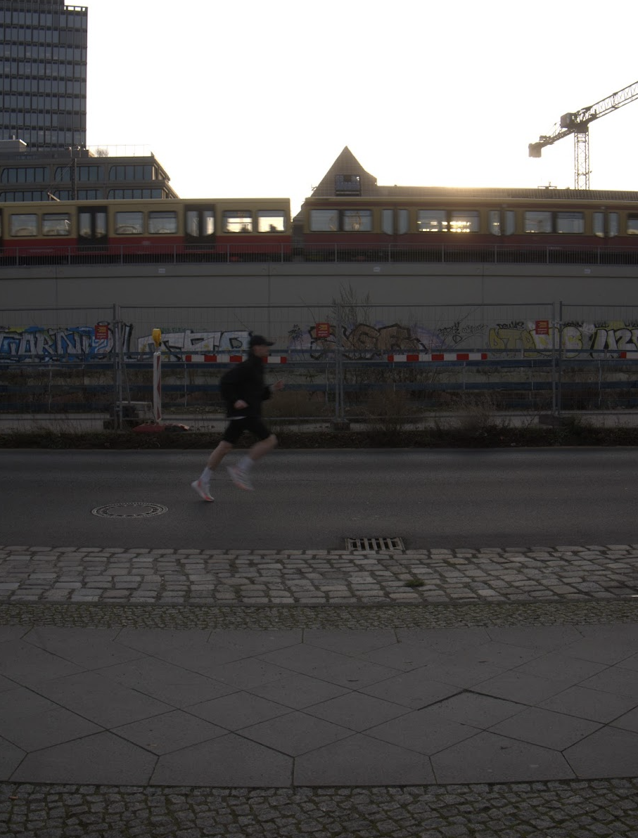 Colly beim Laufen in Berlin